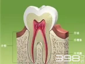 成年人牙齿矫正牙会松动吗？