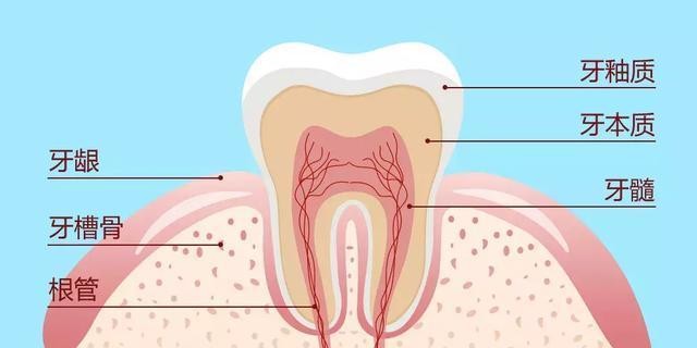 突然剧烈牙疼是什么引起的？可能是这四种牙病在作怪！