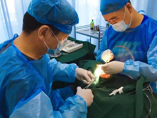 北京西城区广安门外做种植牙技术好，价格又便宜的口腔医院是哪家？