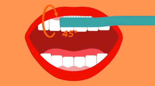 巴氏刷牙法动图步骤