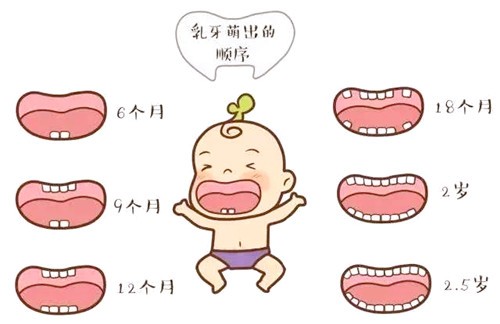 宝宝乳牙一共多少颗？