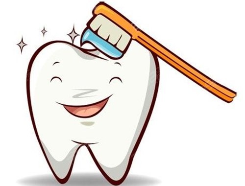 牙齿日常护理小常识
