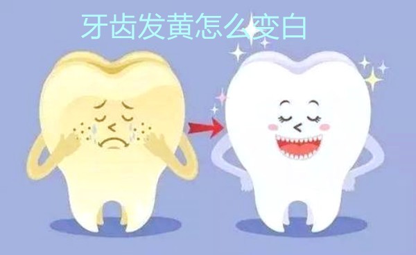 牙齿越来越黄怎么办?先来分析一下你属于哪种黄牙吧