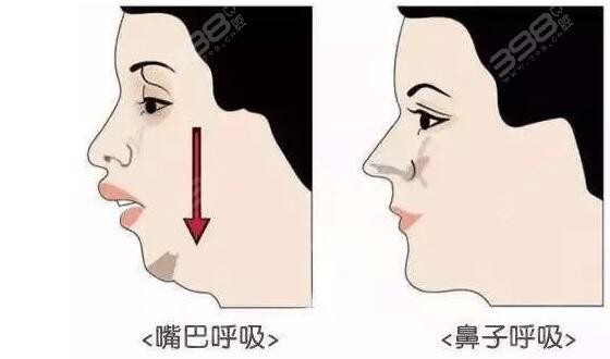 嘴巴呼吸和鼻子呼吸的区别