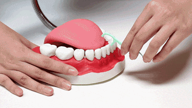 牙线的正确使用方法