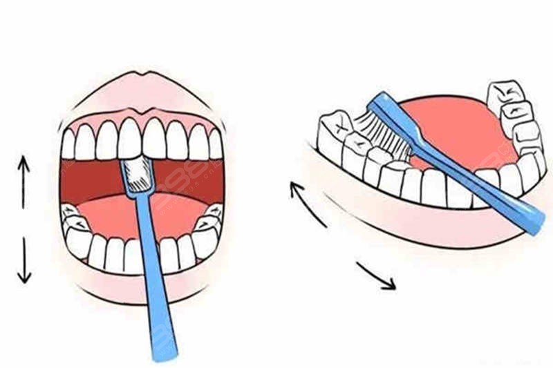 巴氏刷牙法