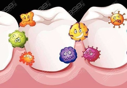 口腔细菌