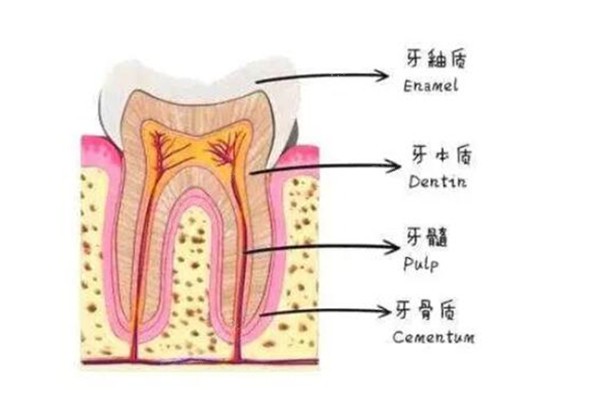 宝宝的的牙齿问题会受到大人的遗传的