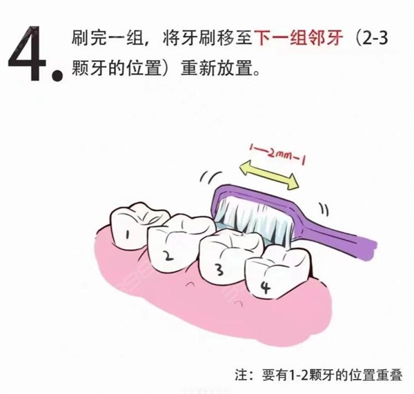 巴氏刷牙法图解4