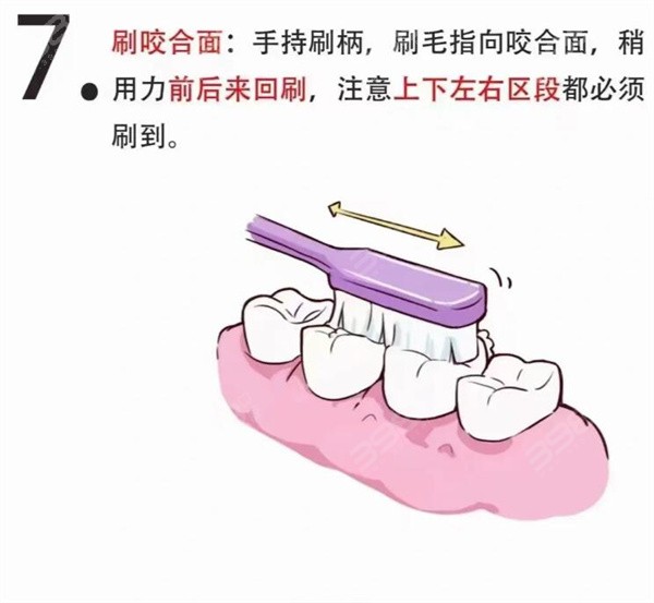 巴氏刷牙法图解7