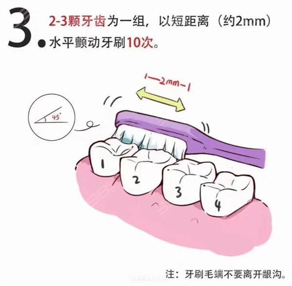 巴氏刷牙法图解3