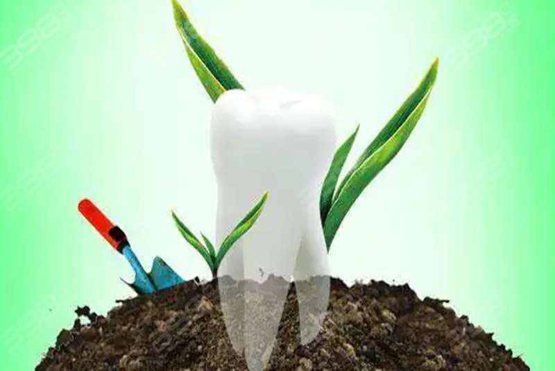 种植牙是怎样种植的？想听听过来人种植牙几年后的真实感受